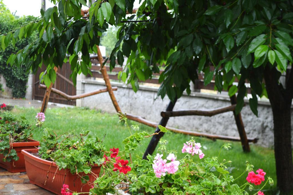 Guest House Sunrise Shabla Quarto foto