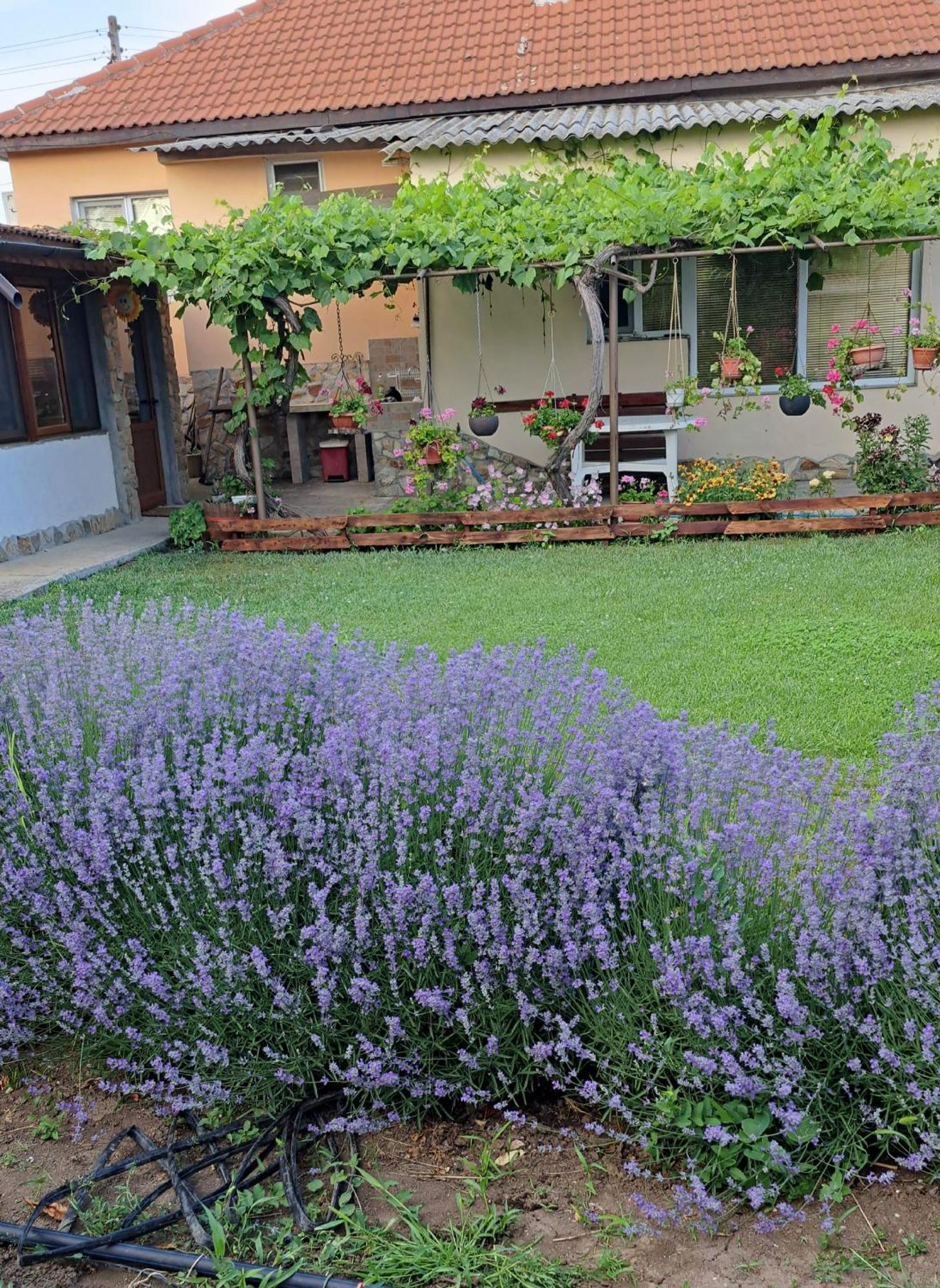 Guest House Sunrise Shabla Exterior foto
